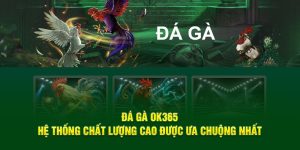 cách chơi game đá gà